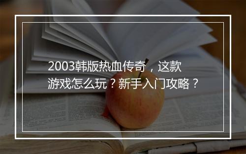 2003韩版热血传奇，这款游戏怎么玩？新手入门攻略？