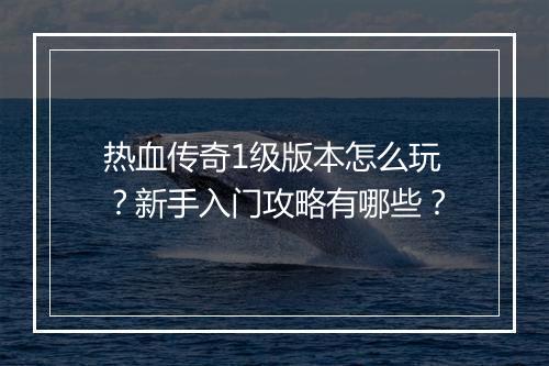 热血传奇1级版本怎么玩？新手入门攻略有哪些？