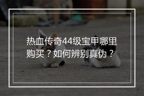 热血传奇44级宝甲哪里购买？如何辨别真伪？