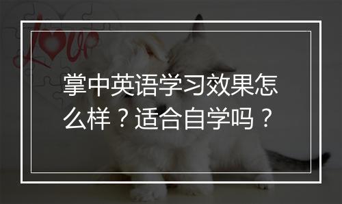 掌中英语学习效果怎么样？适合自学吗？