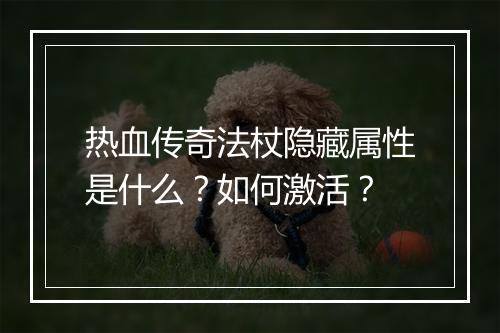 热血传奇法杖隐藏属性是什么？如何激活？