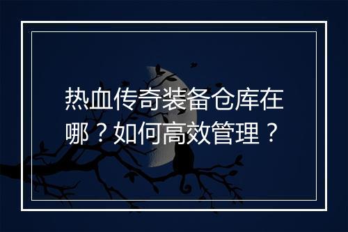 热血传奇装备仓库在哪？如何高效管理？