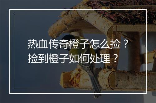 热血传奇橙子怎么捡？捡到橙子如何处理？