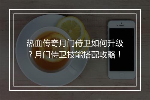 热血传奇月门侍卫如何升级？月门侍卫技能搭配攻略！