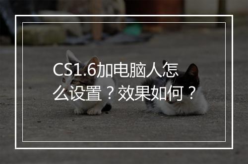 CS1.6加电脑人怎么设置？效果如何？