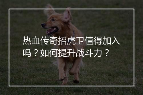 热血传奇招虎卫值得加入吗？如何提升战斗力？