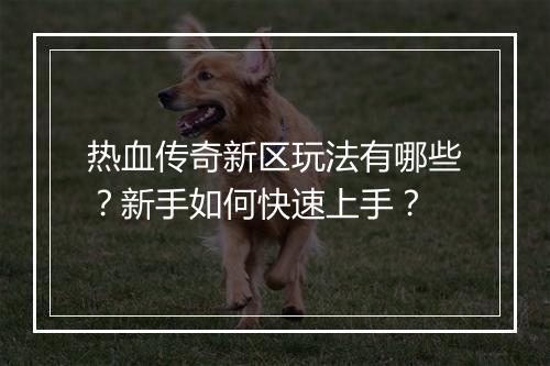 热血传奇新区玩法有哪些？新手如何快速上手？