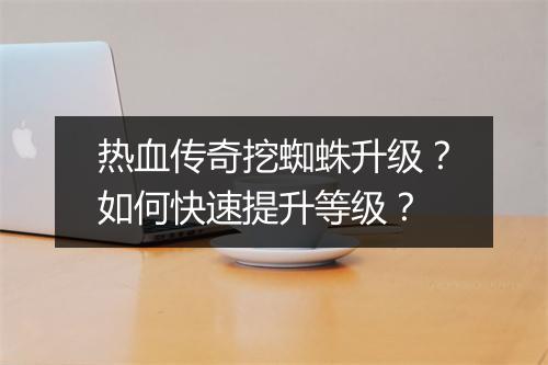 热血传奇挖蜘蛛升级？如何快速提升等级？