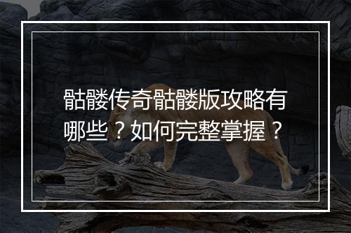 骷髅传奇骷髅版攻略有哪些？如何完整掌握？