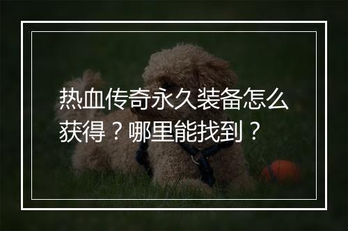 热血传奇永久装备怎么获得？哪里能找到？