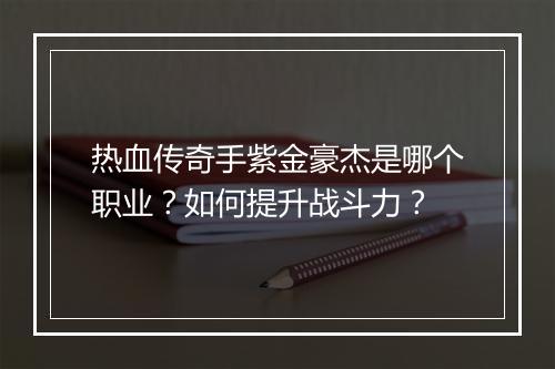 热血传奇手紫金豪杰是哪个职业？如何提升战斗力？