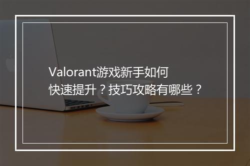 Valorant游戏新手如何快速提升？技巧攻略有哪些？