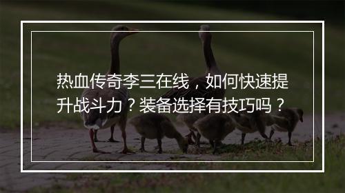 热血传奇李三在线，如何快速提升战斗力？装备选择有技巧吗？