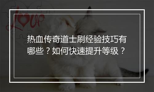 热血传奇道士刷经验技巧有哪些？如何快速提升等级？