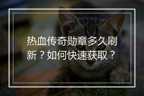 热血传奇勋章多久刷新？如何快速获取？