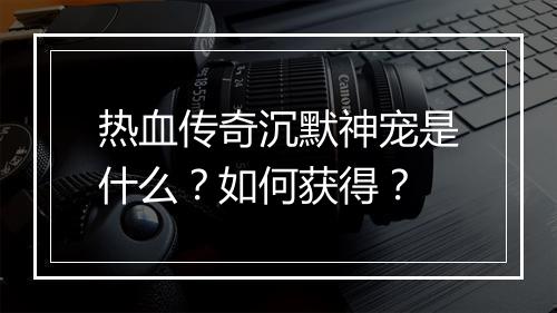 热血传奇沉默神宠是什么？如何获得？