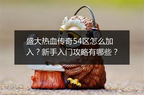 盛大热血传奇54区怎么加入？新手入门攻略有哪些？