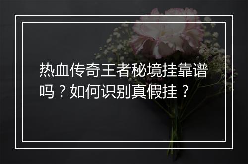热血传奇王者秘境挂靠谱吗？如何识别真假挂？