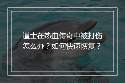 道士在热血传奇中被打伤怎么办？如何快速恢复？