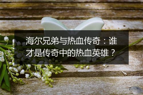 海尔兄弟与热血传奇：谁才是传奇中的热血英雄？
