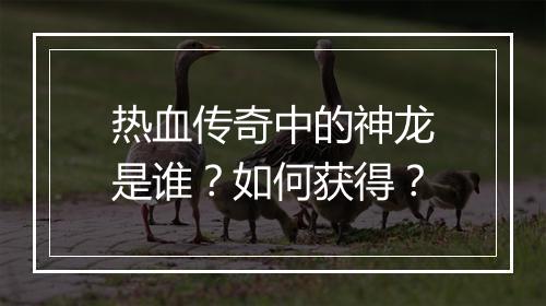 热血传奇中的神龙是谁？如何获得？