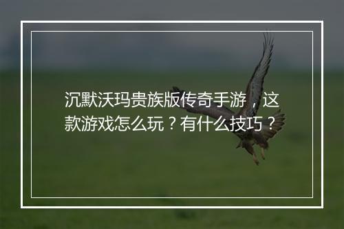 沉默沃玛贵族版传奇手游，这款游戏怎么玩？有什么技巧？