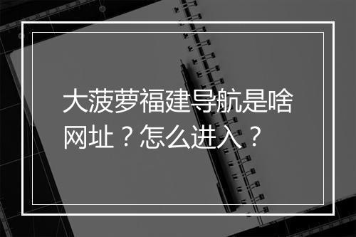 大菠萝福建导航是啥网址？怎么进入？