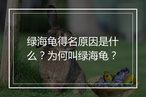 绿海龟得名原因是什么？为何叫绿海龟？