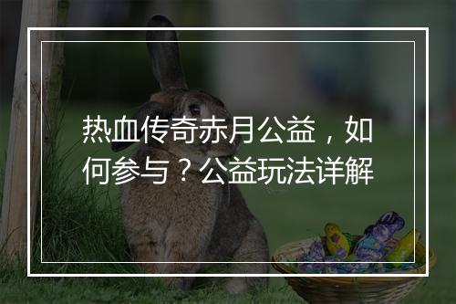 热血传奇赤月公益，如何参与？公益玩法详解