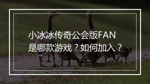 小冰冰传奇公会版FAN是哪款游戏？如何加入？