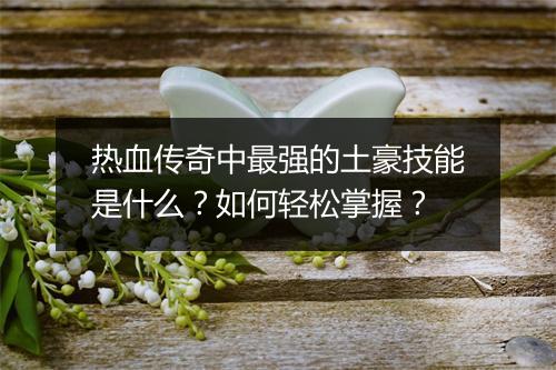 热血传奇中最强的土豪技能是什么？如何轻松掌握？
