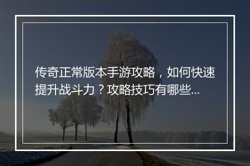 传奇正常版本手游攻略，如何快速提升战斗力？攻略技巧有哪些？