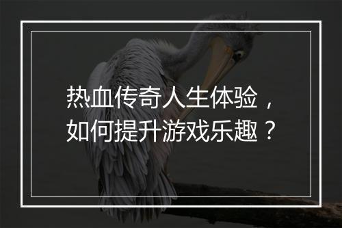 热血传奇人生体验，如何提升游戏乐趣？