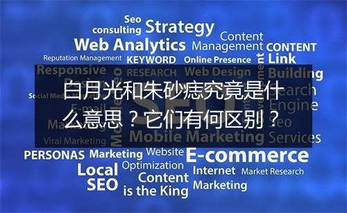 白月光和朱砂痣究竟是什么意思？它们有何区别？