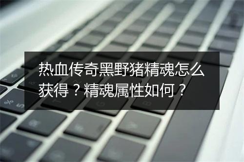 热血传奇黑野猪精魂怎么获得？精魂属性如何？