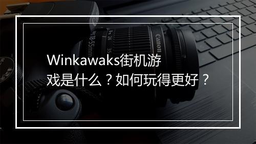 Winkawaks街机游戏是什么？如何玩得更好？