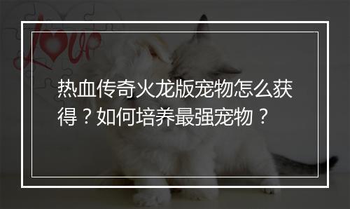 热血传奇火龙版宠物怎么获得？如何培养最强宠物？