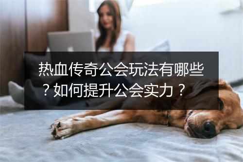 热血传奇公会玩法有哪些？如何提升公会实力？