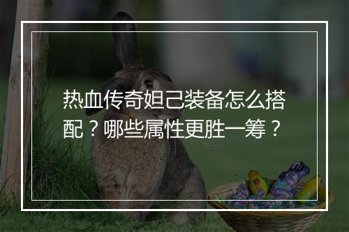 热血传奇妲己装备怎么搭配？哪些属性更胜一筹？