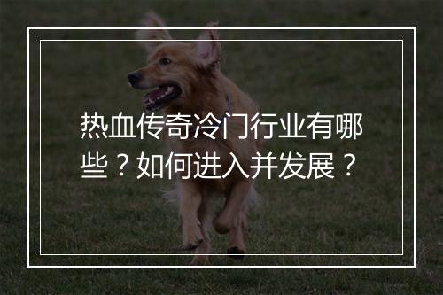 热血传奇冷门行业有哪些？如何进入并发展？