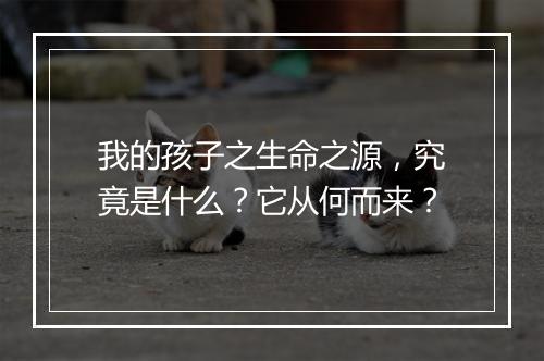 我的孩子之生命之源，究竟是什么？它从何而来？