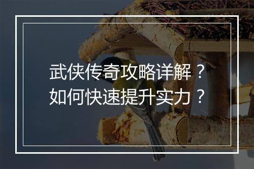 武侠传奇攻略详解？如何快速提升实力？