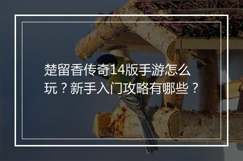 楚留香传奇14版手游怎么玩？新手入门攻略有哪些？