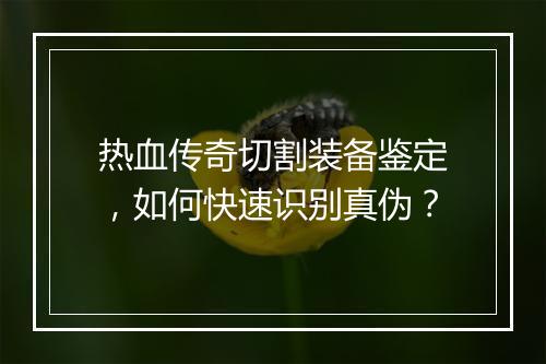 热血传奇切割装备鉴定，如何快速识别真伪？