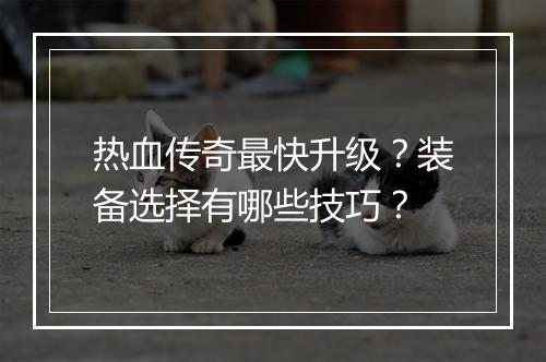 热血传奇最快升级？装备选择有哪些技巧？