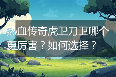 热血传奇虎卫刀卫哪个更厉害？如何选择？
