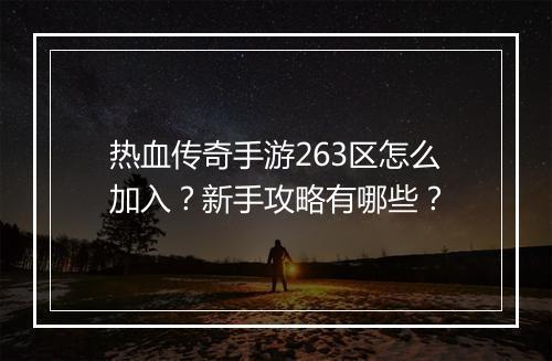 热血传奇手游263区怎么加入？新手攻略有哪些？