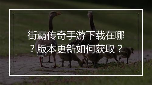 街霸传奇手游下载在哪？版本更新如何获取？