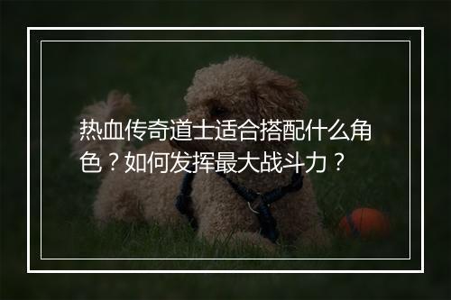热血传奇道士适合搭配什么角色？如何发挥最大战斗力？