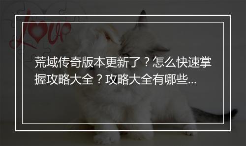 荒域传奇版本更新了？怎么快速掌握攻略大全？攻略大全有哪些新内容？